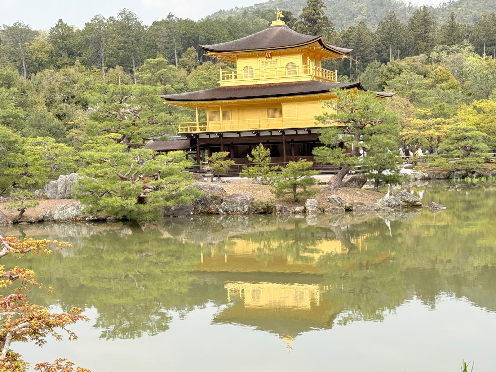 Golden Pavilion in Kyoto