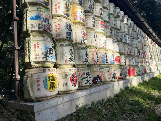 Meiji Shrine with traditional architecture and cherry blossoms