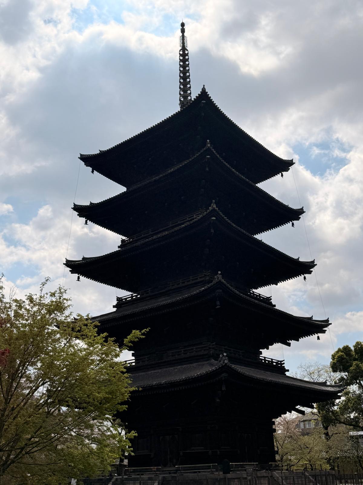 Kyoto temple with cherry blossoms in bloom